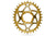Oval Sram Direct Mount GXP chainring N/W - GOLD (6mm offset) | 34T